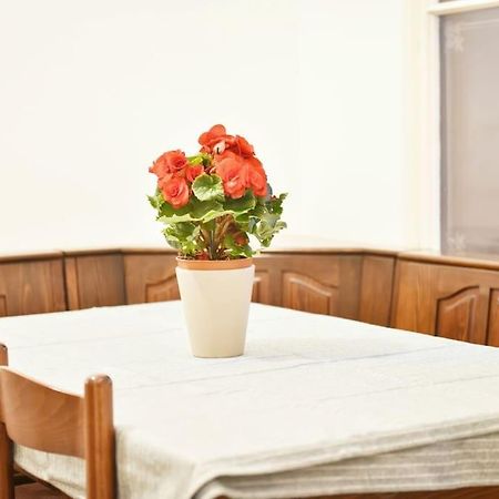 Charming Spacious Apartment Βιέννη Εξωτερικό φωτογραφία