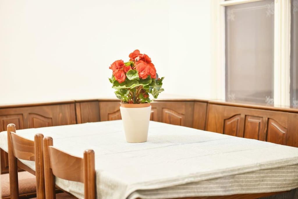 Charming Spacious Apartment Βιέννη Εξωτερικό φωτογραφία