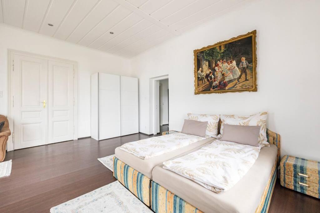 Charming Spacious Apartment Βιέννη Εξωτερικό φωτογραφία